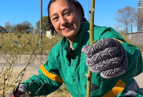 Entrega de esquejes en el Rosedal Micaela Bastidas: una invitación a multiplicar el verde en la Ciudad