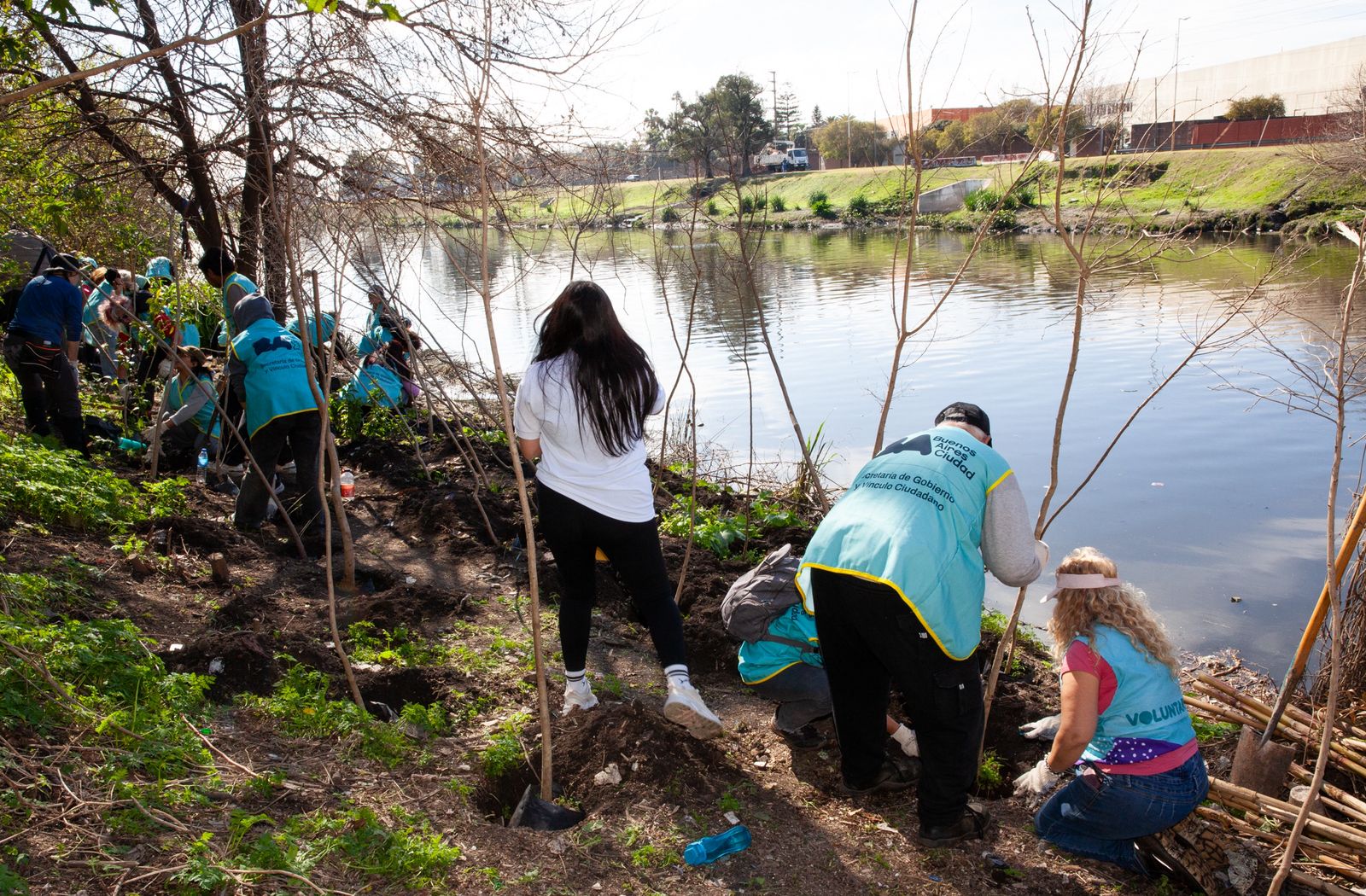 Voluntarios plantaron 500 árboles en el Camino de Sirga del Riachuelo