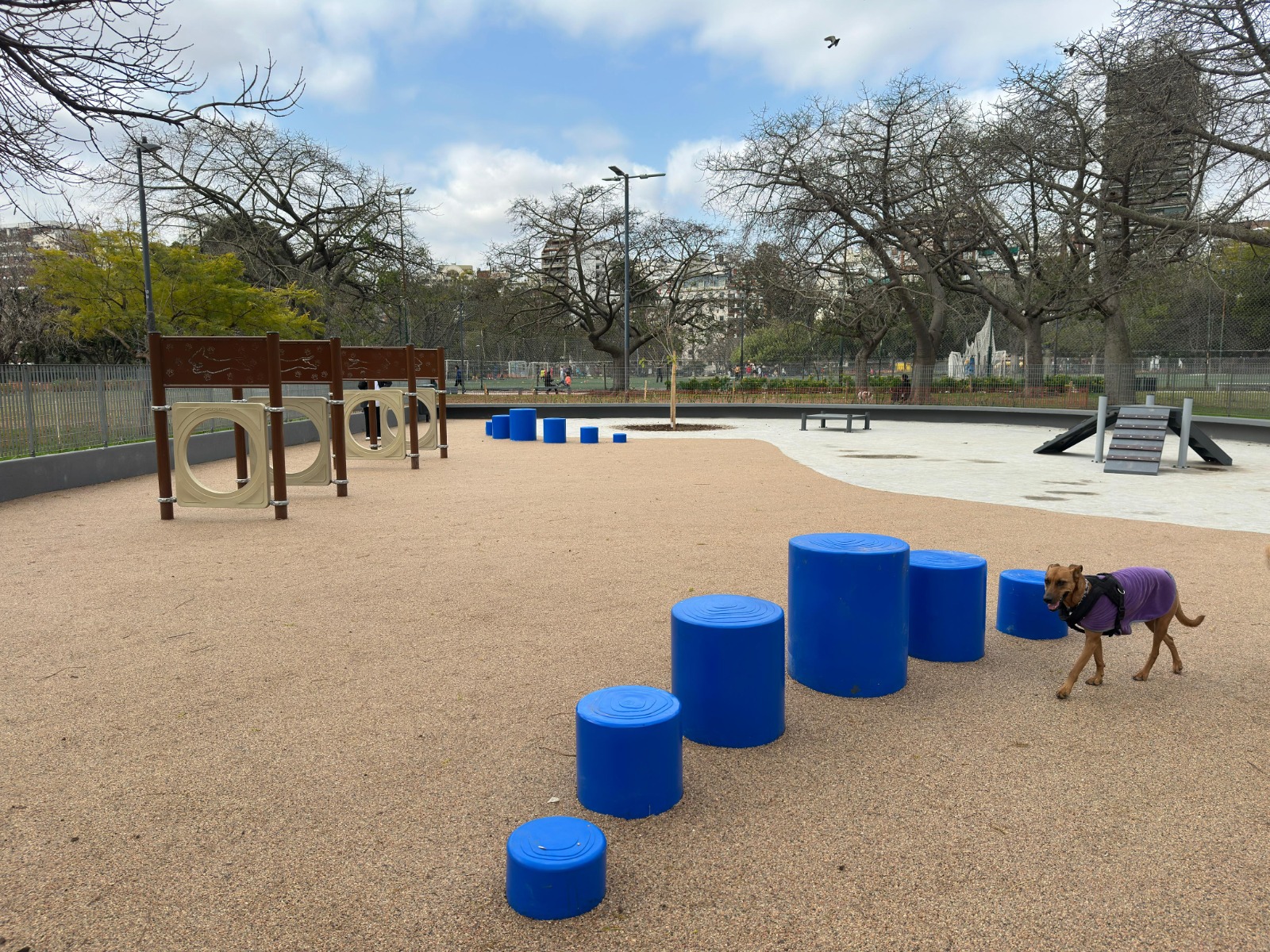 Renovamos el canil de Parque Las Heras