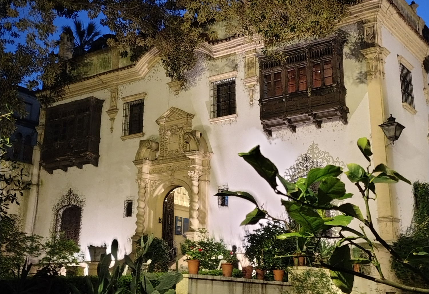 Noche de los Museos 2025 en el Palacio Noel