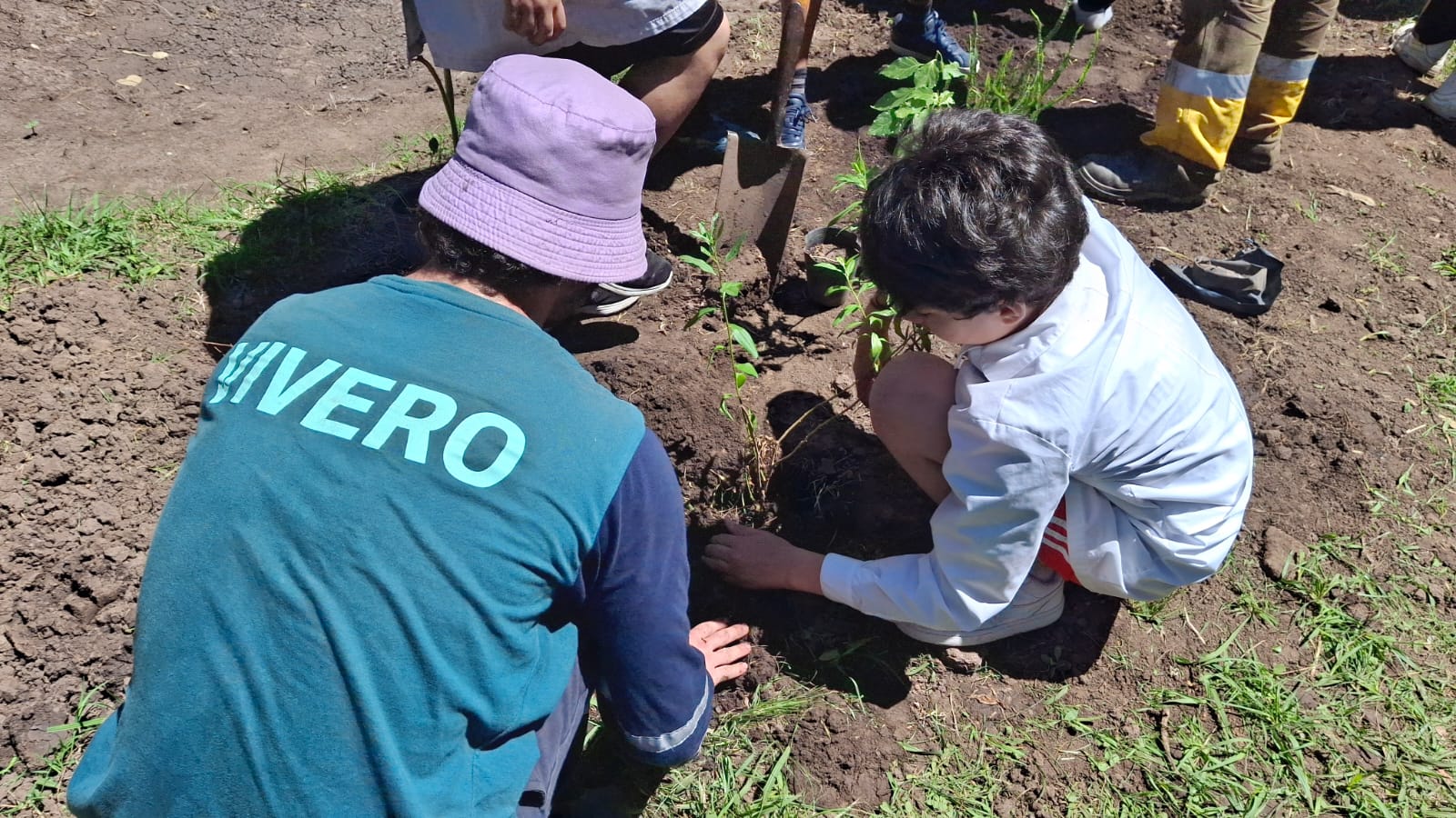 Un espacio de aprendizaje que crece: plantación de nativas en el Vivero de la Ciudad 