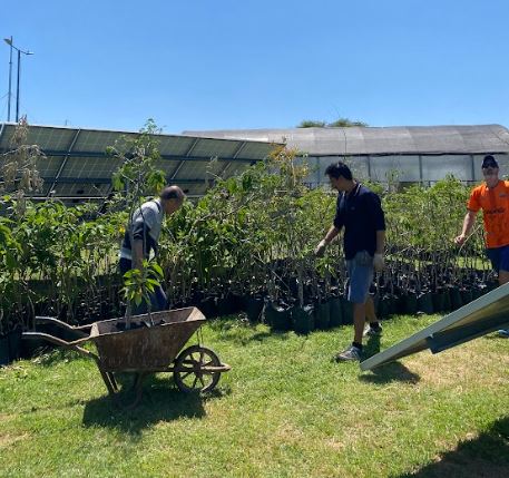 Abierta la inscripción al voluntariado en huerta y vivero