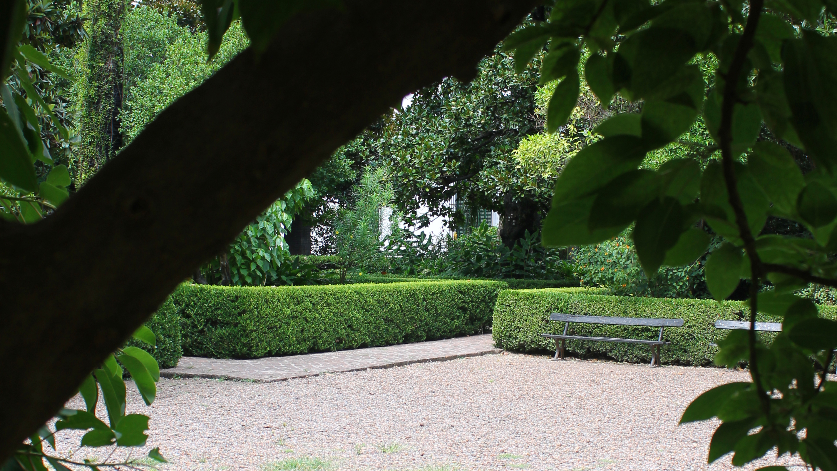 ¡Juguemos bajo el ombú!