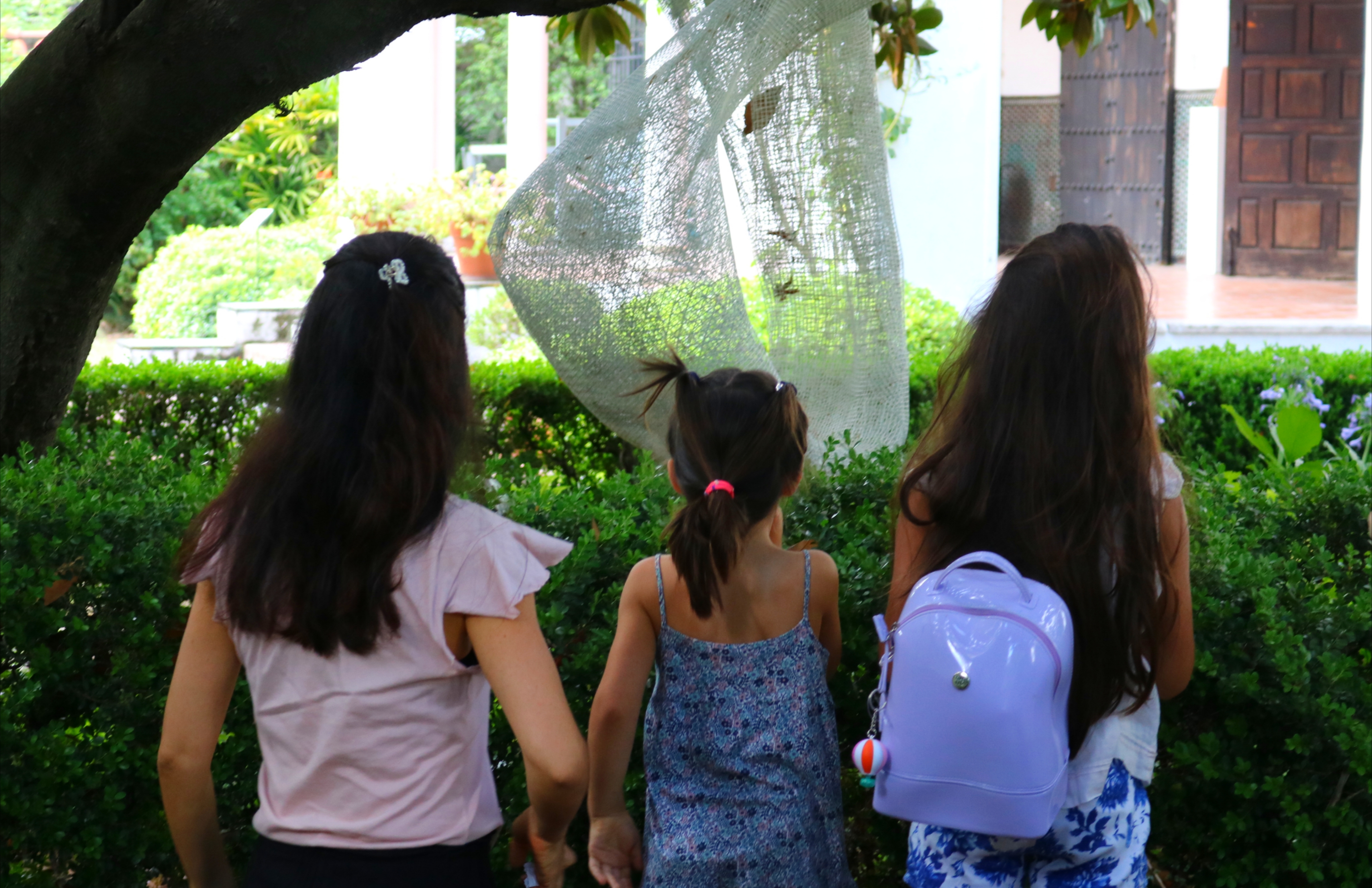 Cultura de Verano 2026