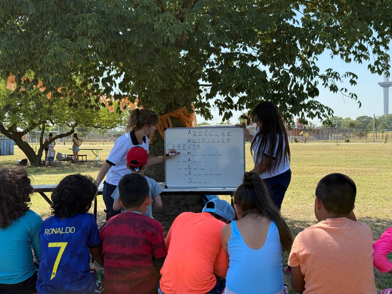 Actividades ambientales en las colonias de vacaciones de la Ciudad