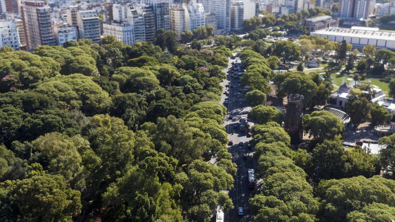 Plan de Arbolado 2025: la Ciudad superó la meta anual de plantaciones