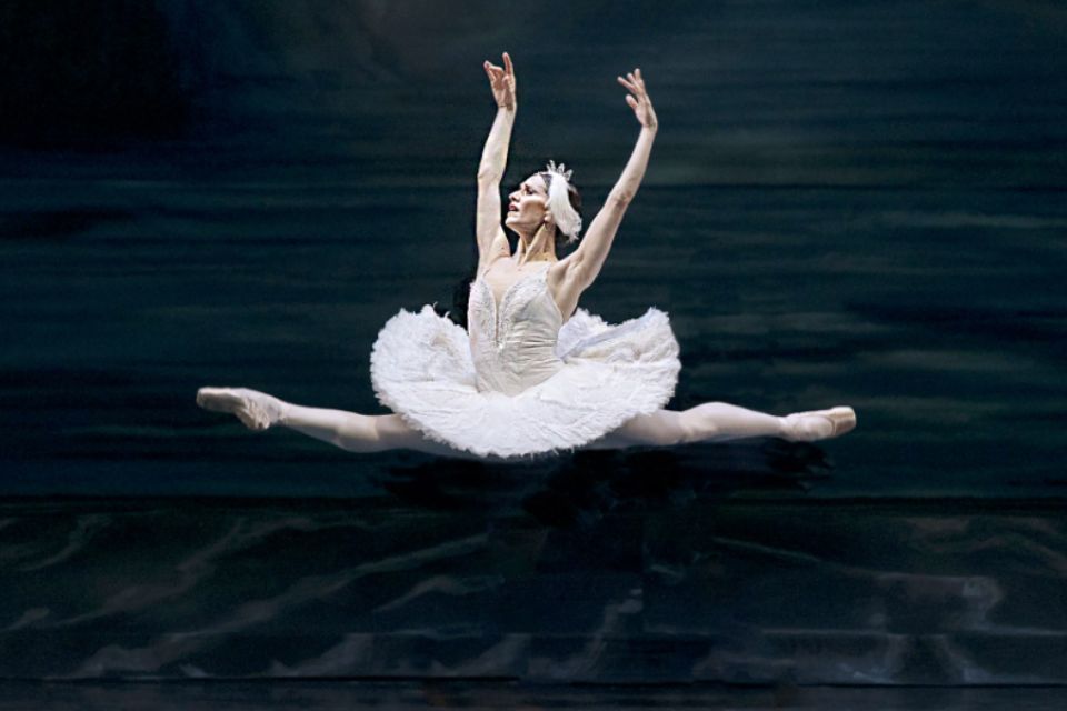 El lago de los cisnes