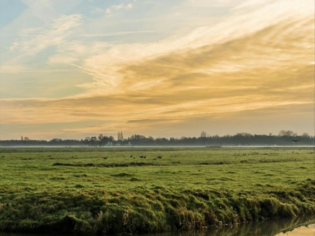 Perspectivas. Taller literario en la Biblioteca | A cargo Nora Anzovini