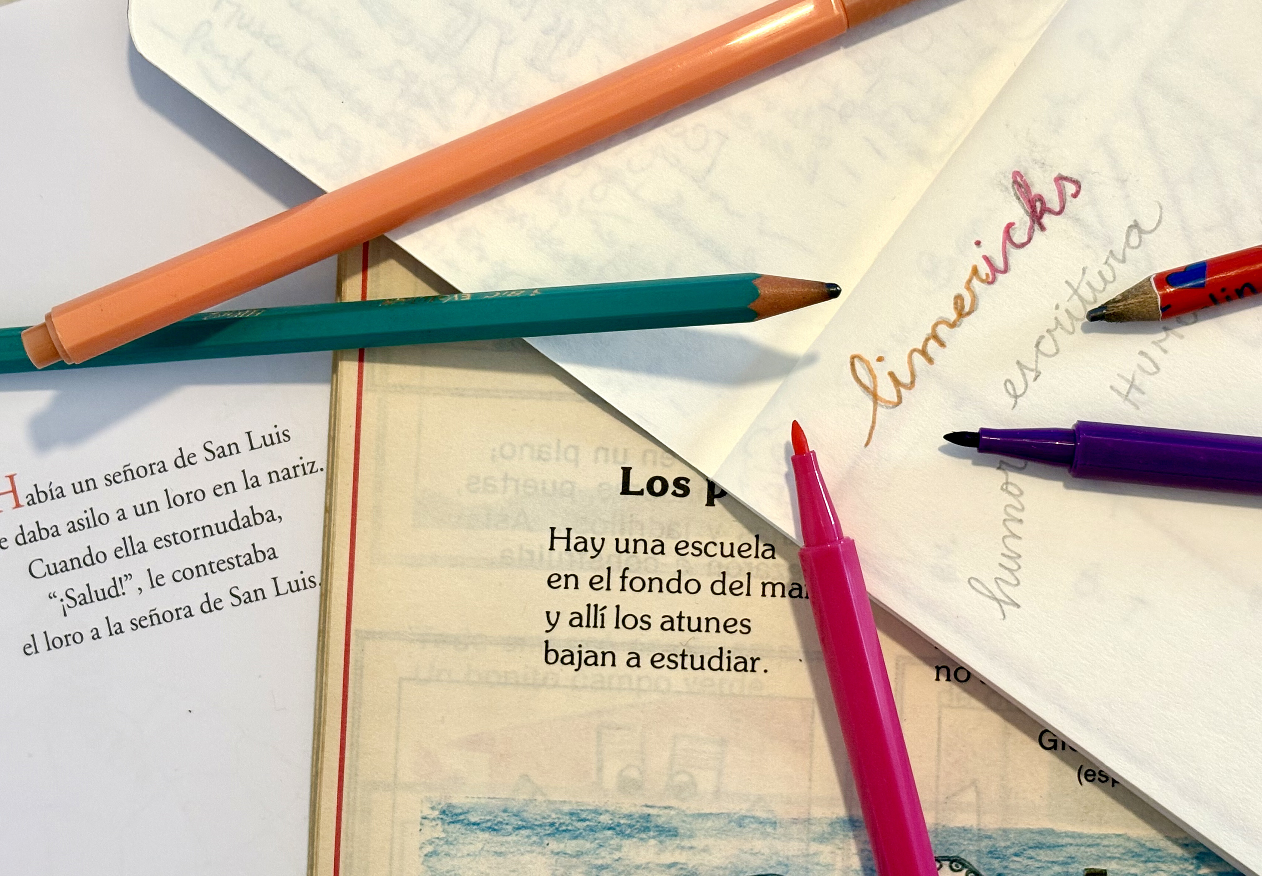 Pequeño espacio de escritura I A cargo de Laura Crespi, poeta 