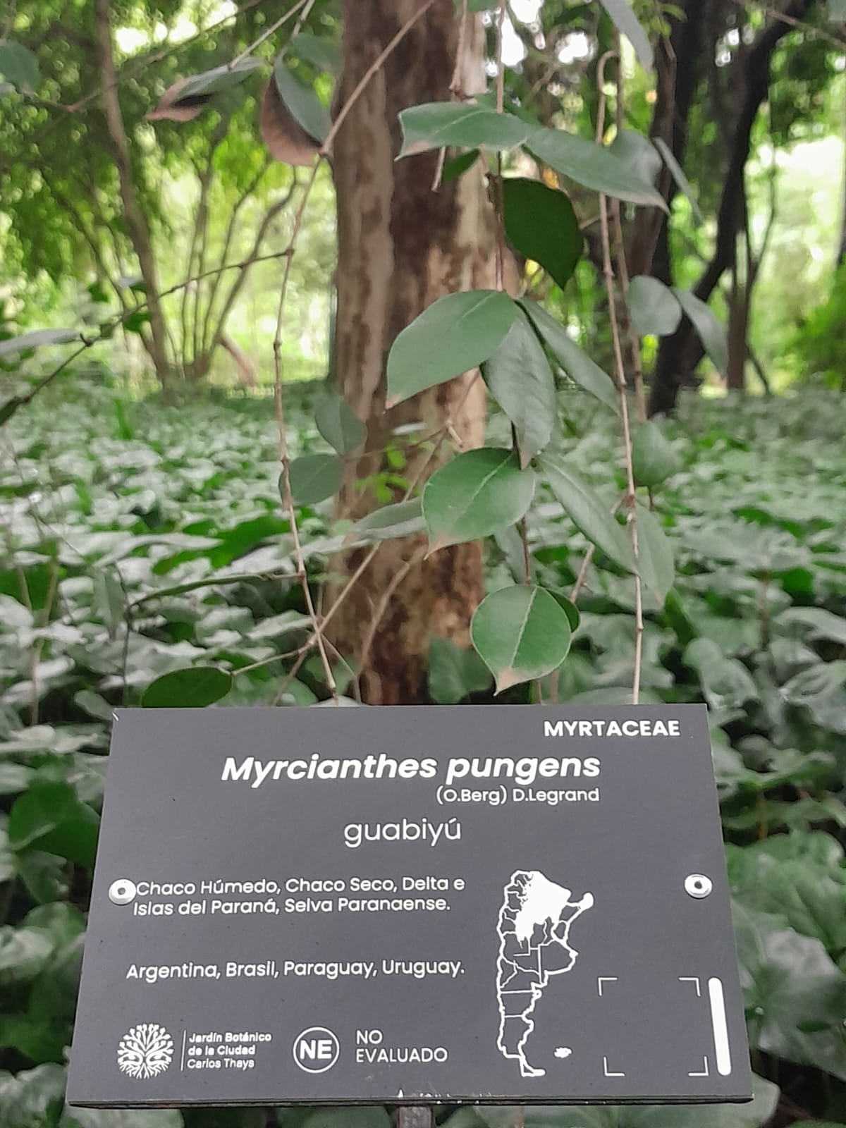 La Ciudad promueve acciones de conservación de la biodiversidad