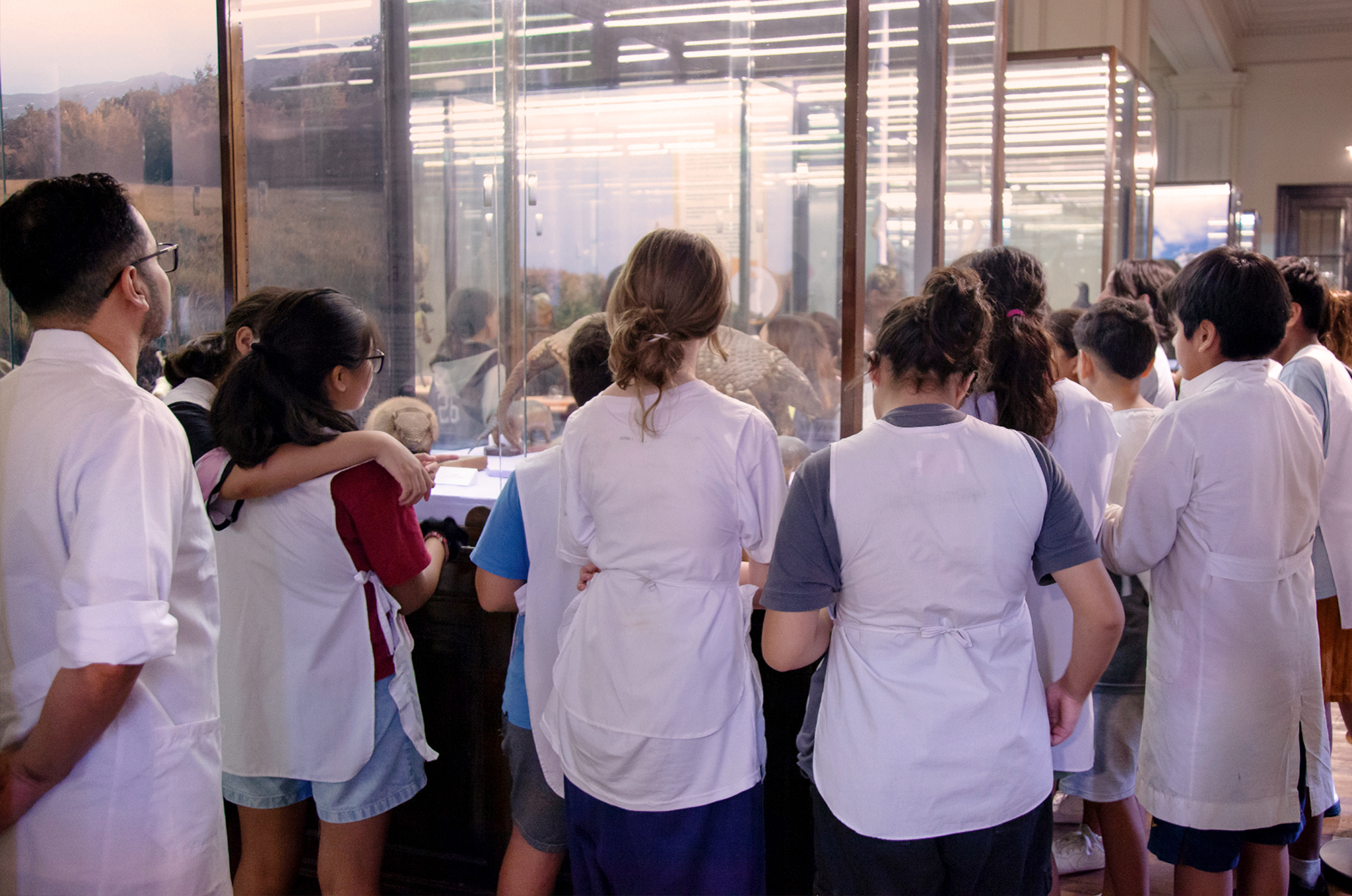 Comenzó el ciclo de visitas educativas en el Museo Bernasconi