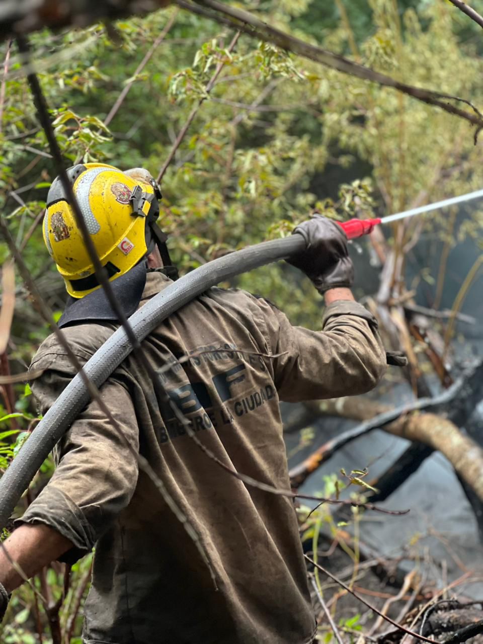 El Ministerio de Seguridad creó la Brigada de Incendios Forestales de Bomberos de la Ciudad 