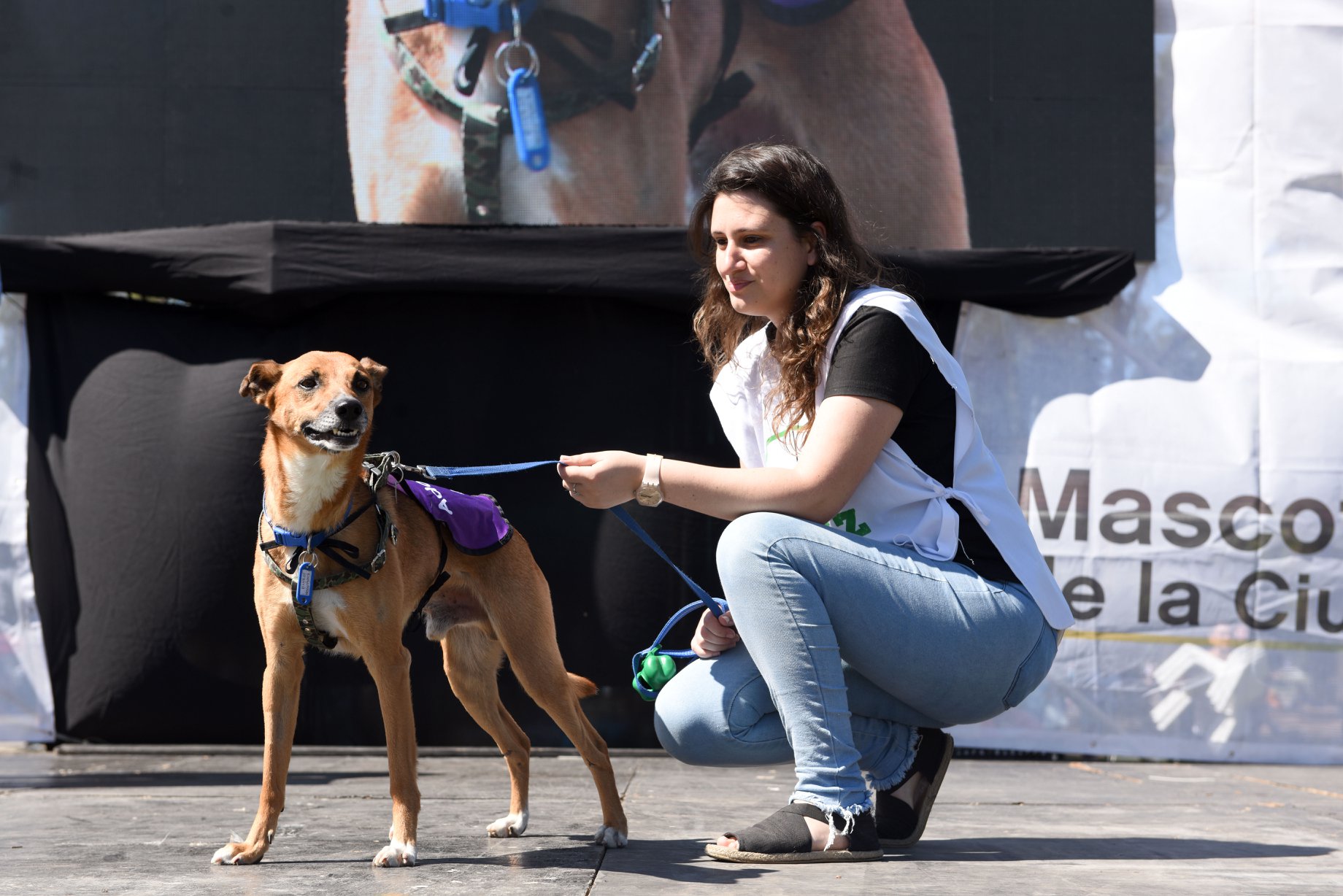 Jornadas de adopción: un nuevo formato, más cerca de los vecinos