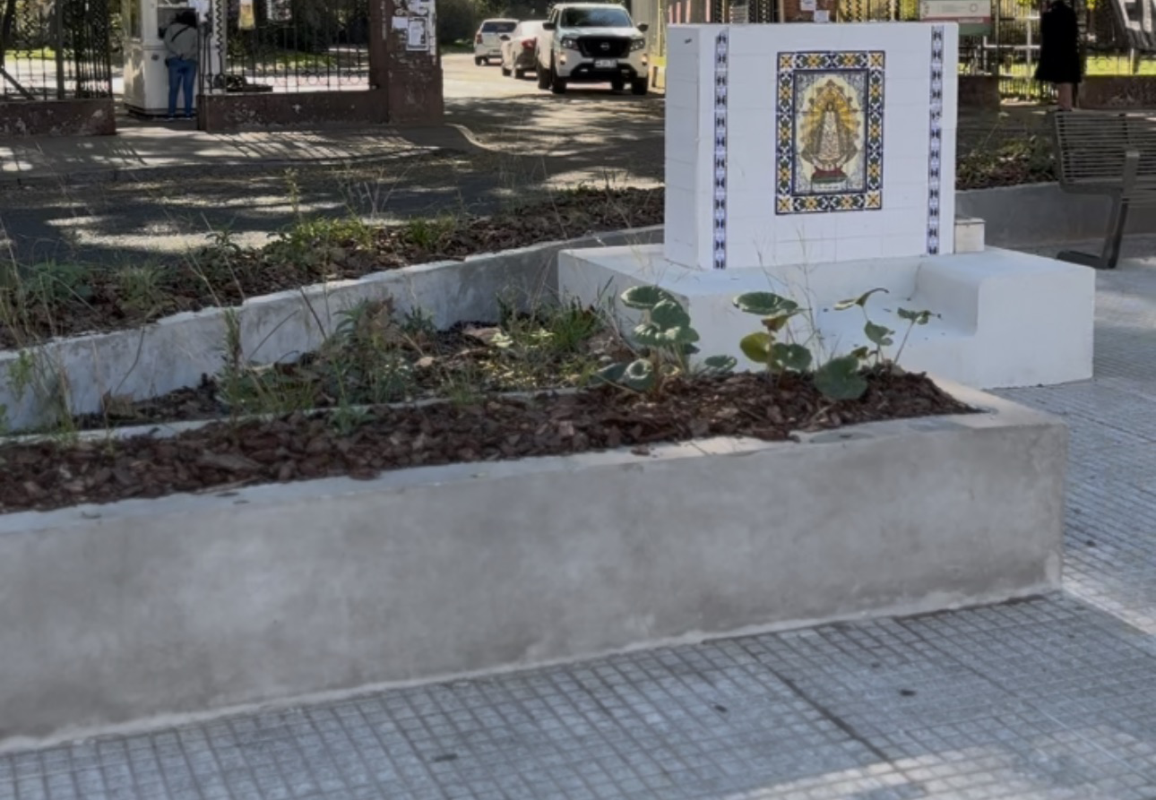 La Ciudad y CEAMSE incorporan flora nativa en la rotonda de Agronomía 