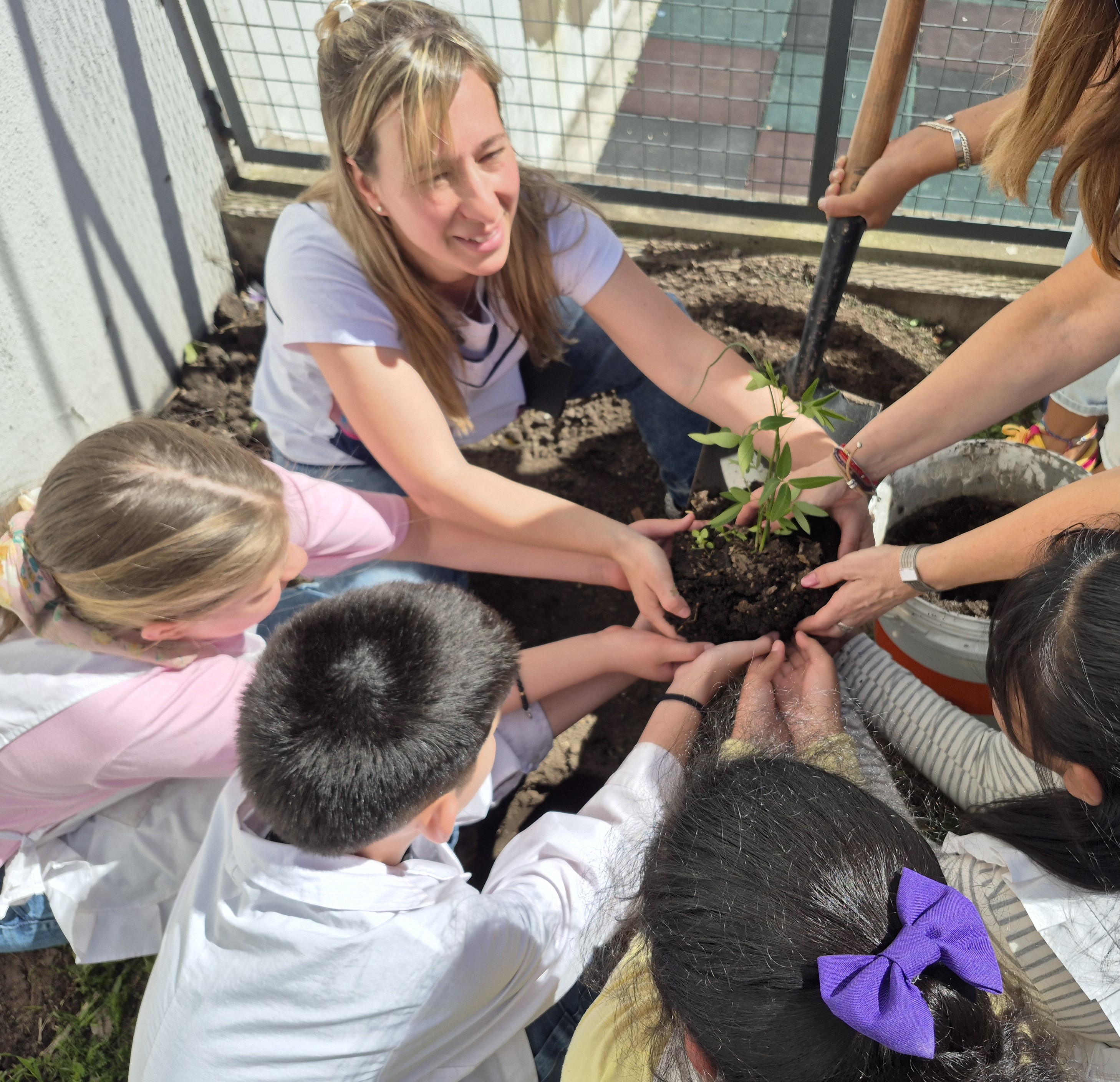 «Ley Yolanda»: una capacitación para incorporar la perspectiva ambiental en las prácticas educativas