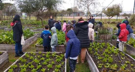 El Paseo Ambiental del Sur ofrece visitas guiadas gratuitas