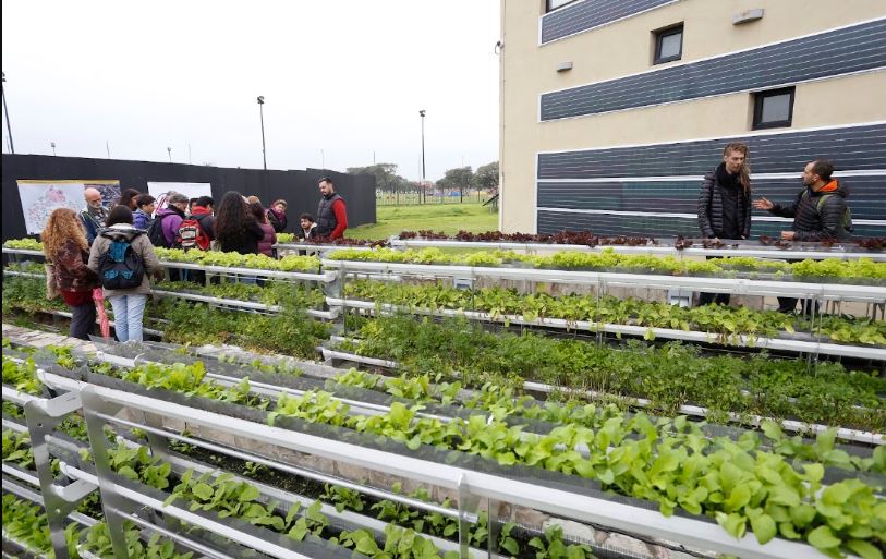 Agricultura Urbana: convocatoria a voluntarios