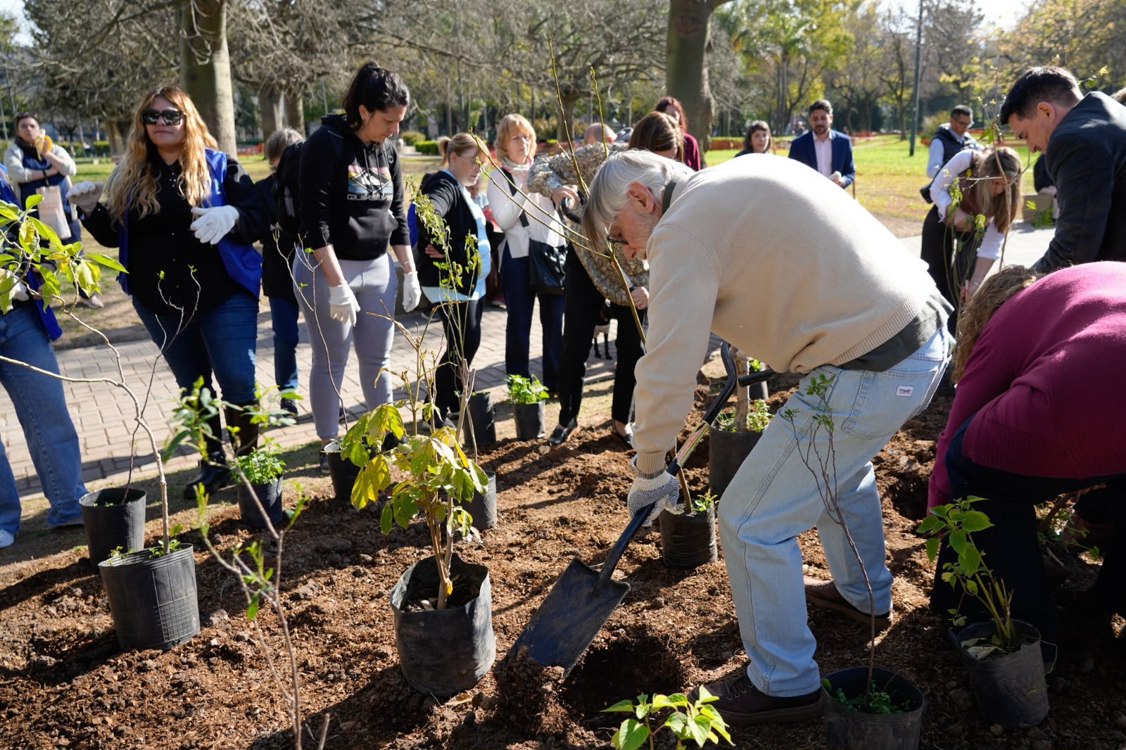 Una emotiva plantación de árboles para rendirle homenaje a los donantes de órganos y sus familias