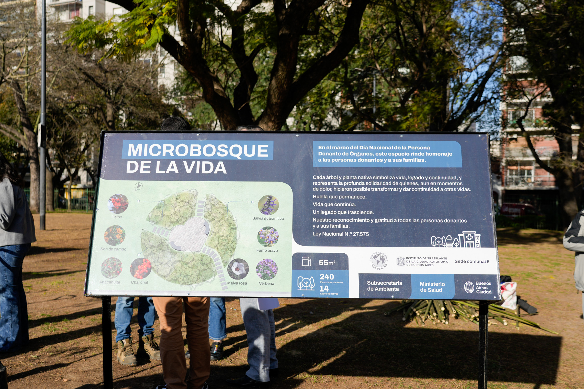 La Plaza Irlanda ya tiene su microbosque