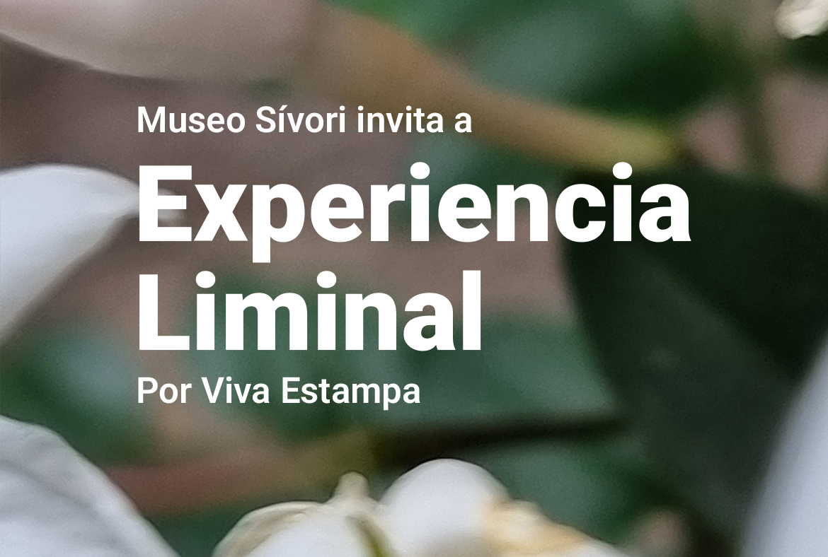 Experiencia Liminal I Encuentro de Arte, Cultura y Salud Mental