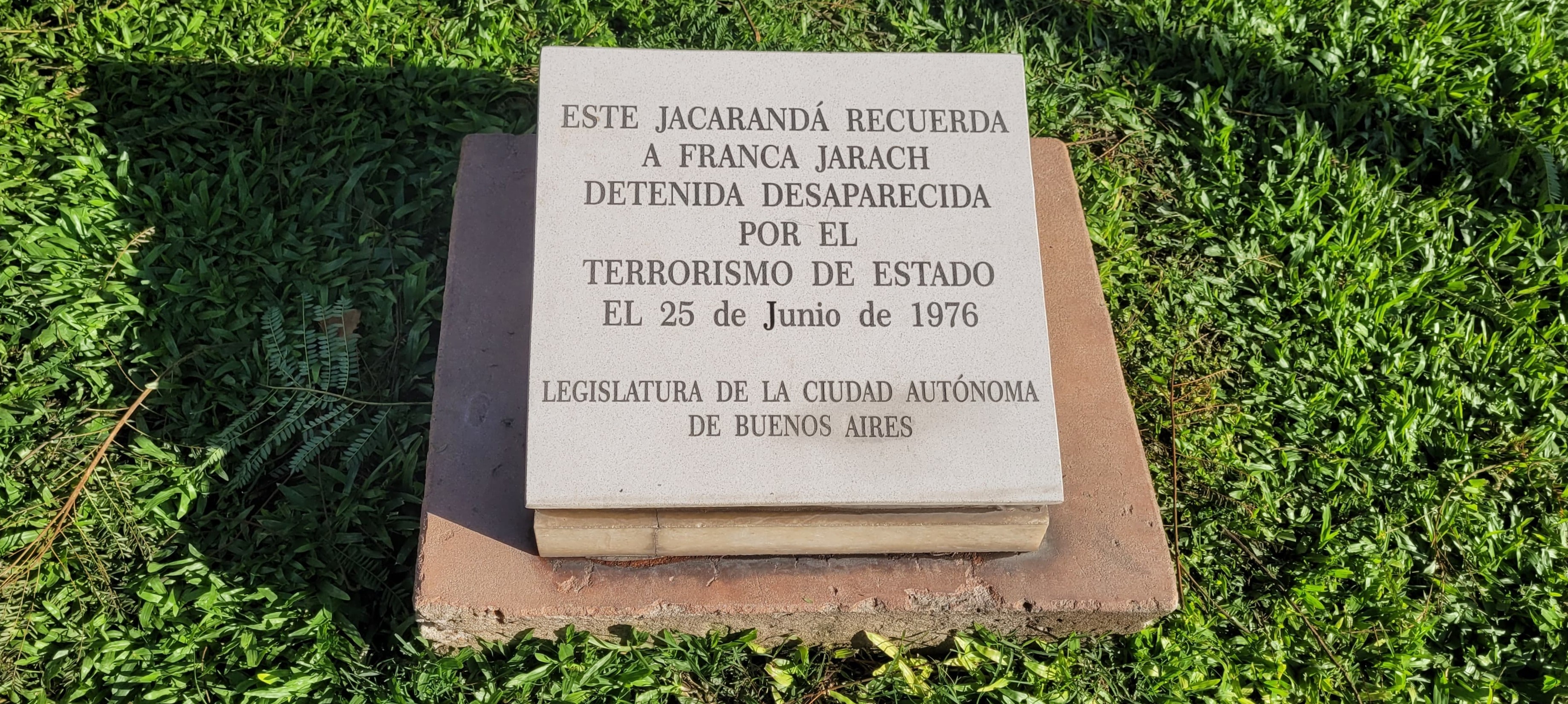 Jacarandá de Franca Jarach