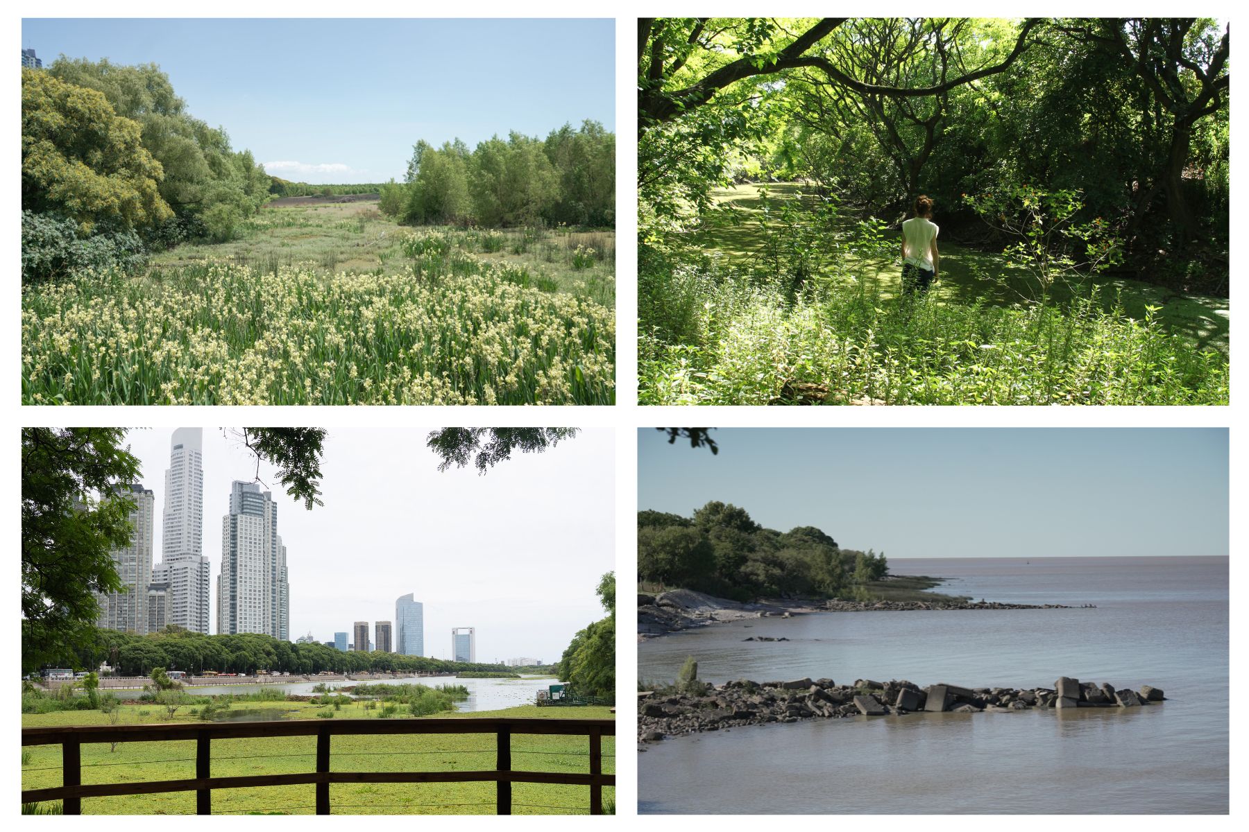 Reserva Ecológica Costanera Sur