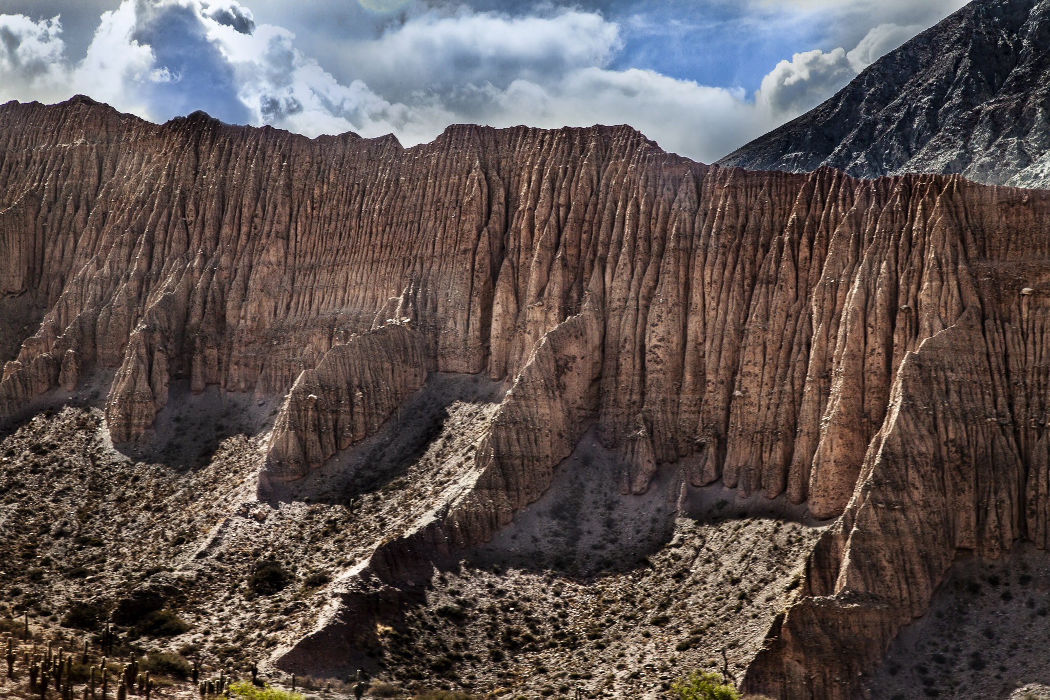 capsula 2 Purmamarca.jpg