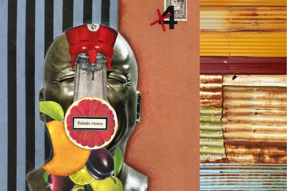 conversatorio en el marco de Homo Videns