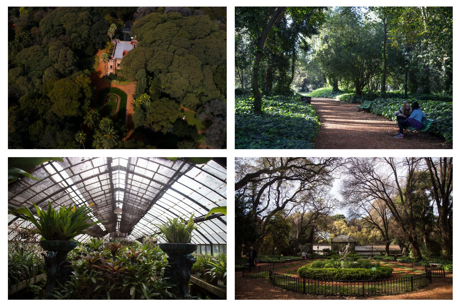 Jardín Botánico