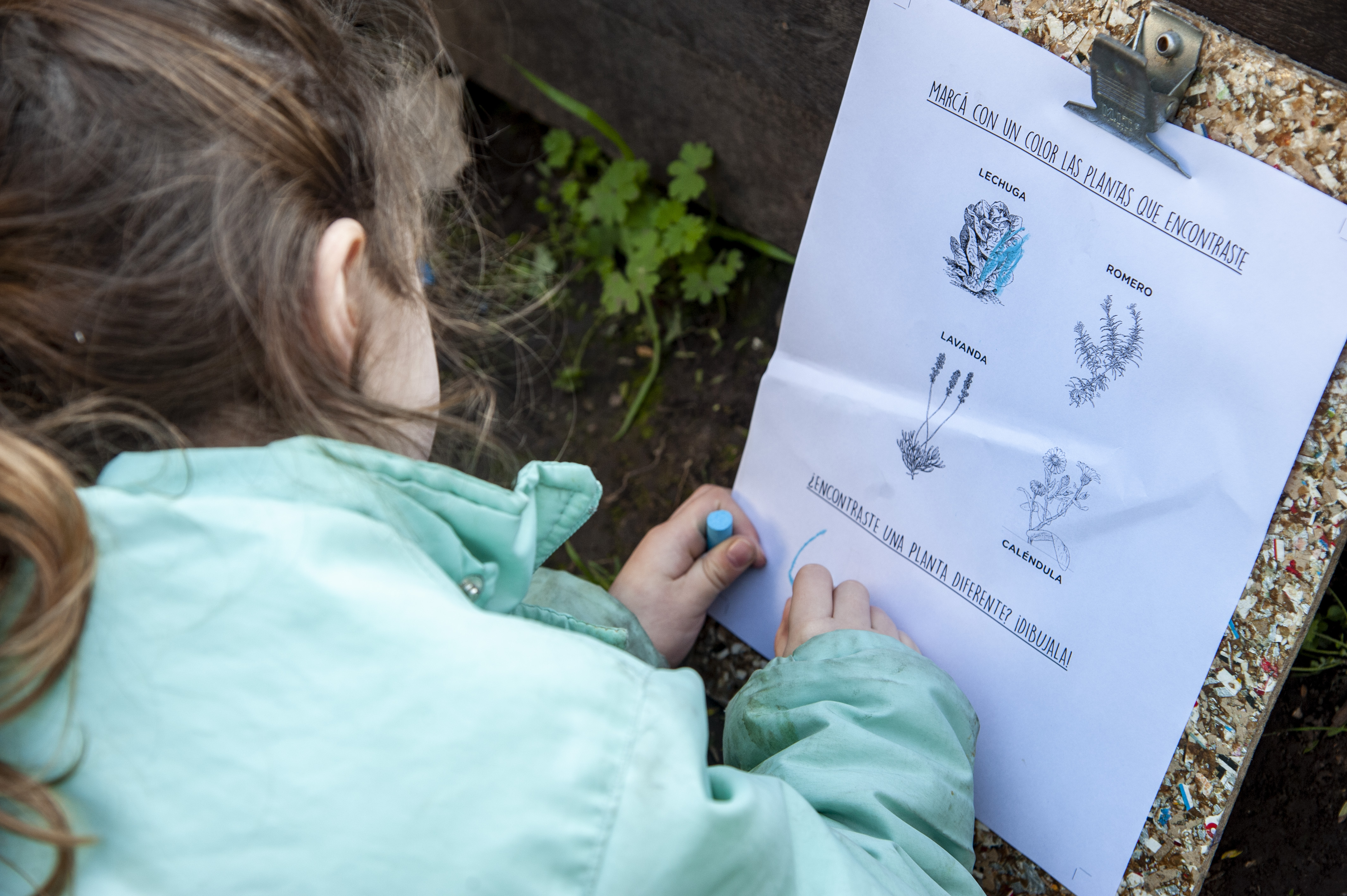 Los contenidos de Educación Ambiental son transversales y las escuelas podrán desarrollar proyectos educativos ambientales articulando diversas áreas curriculares o ejes de experiencias.