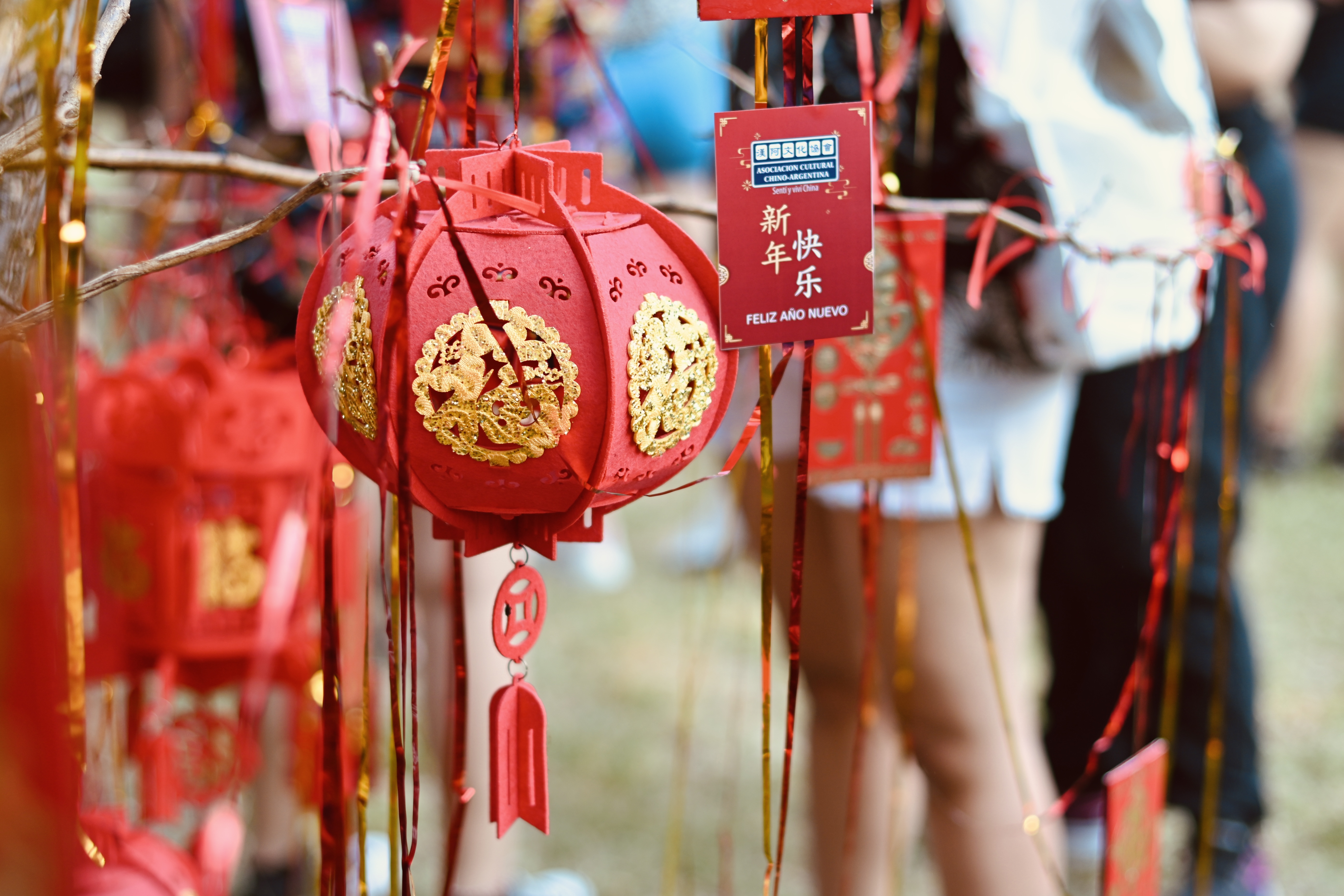 AÑO NUEVO CHINO 2