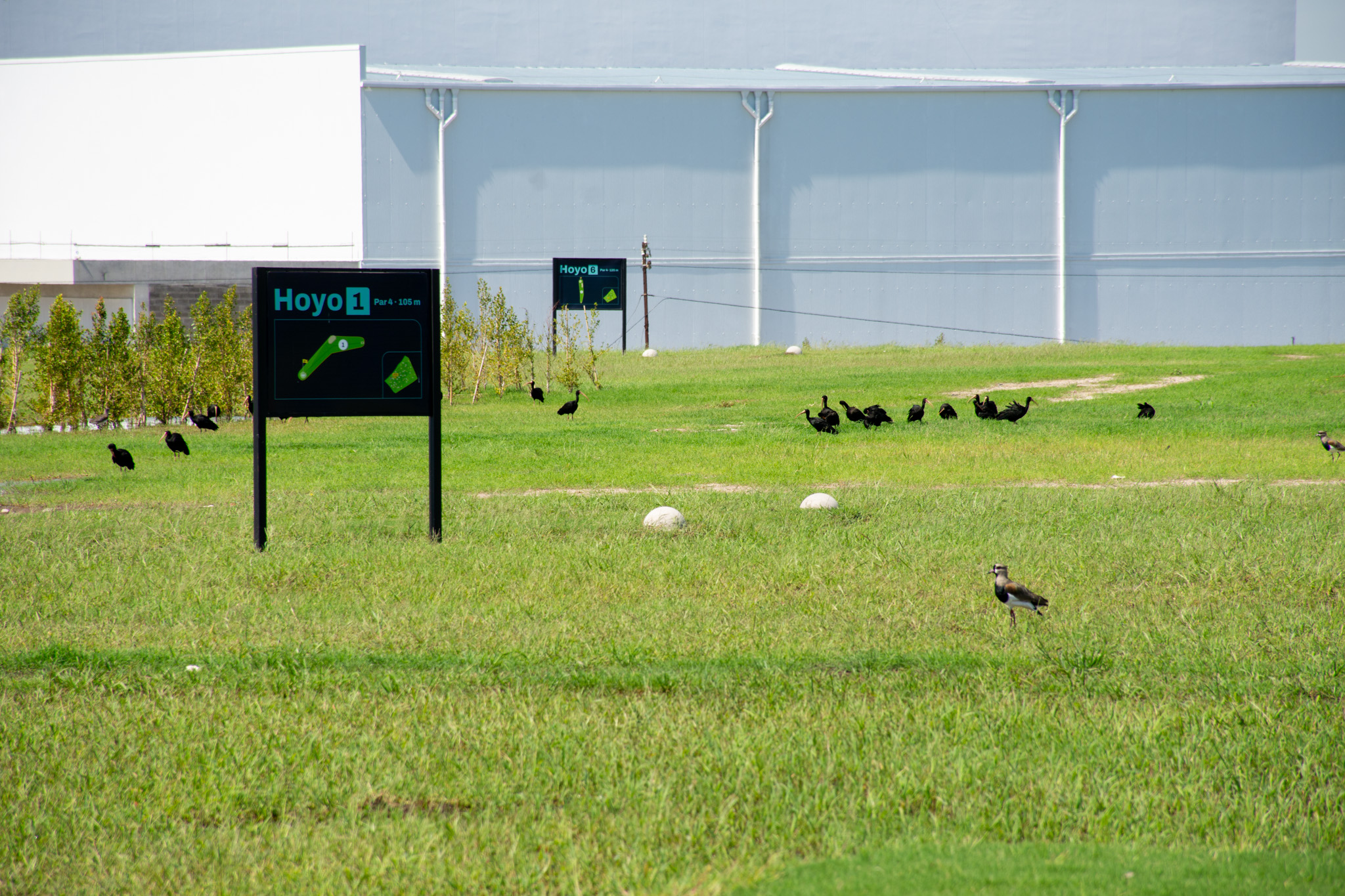 Futgolf en Parque Indoamericano