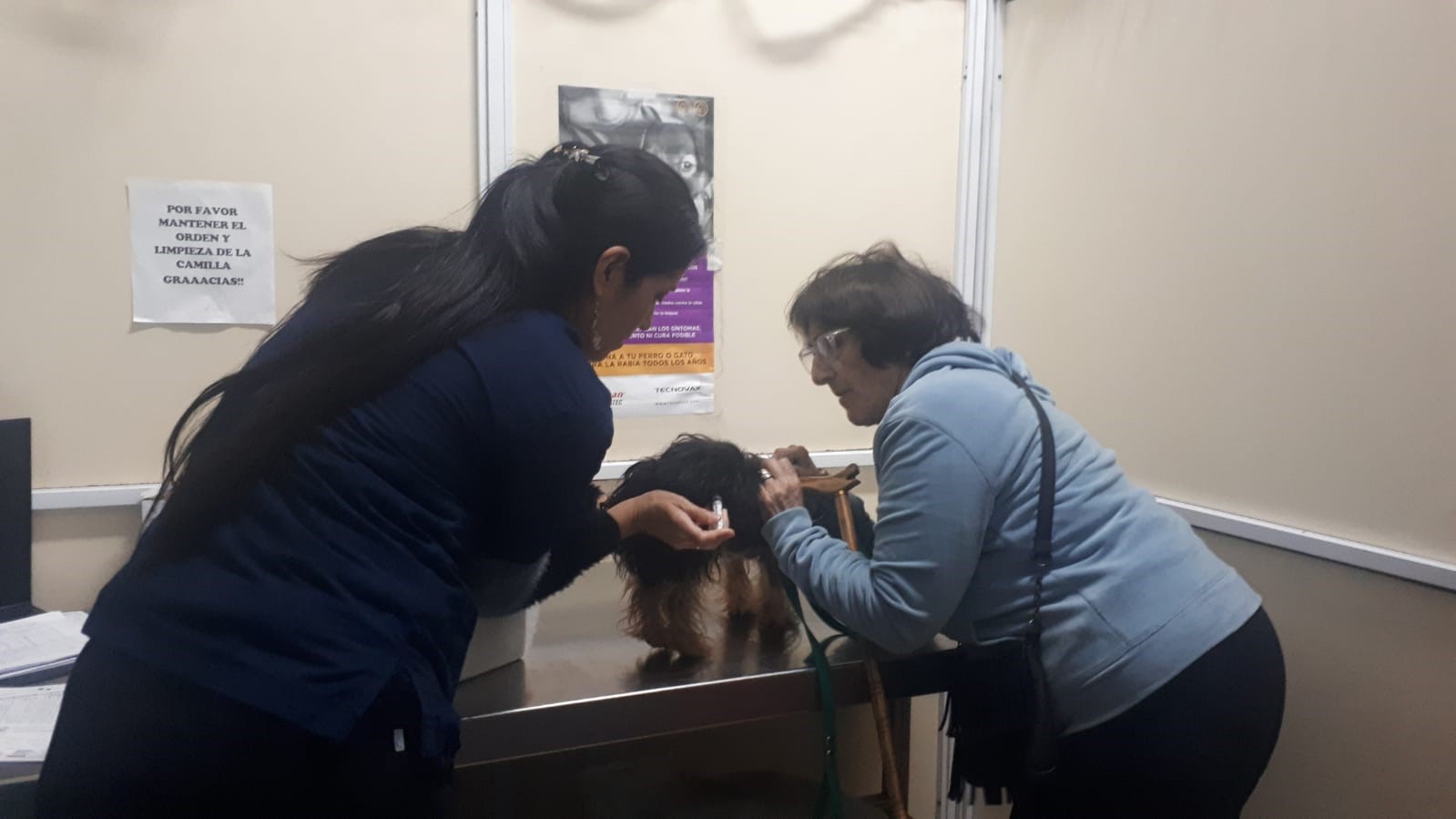 División Medicina Veterinaria