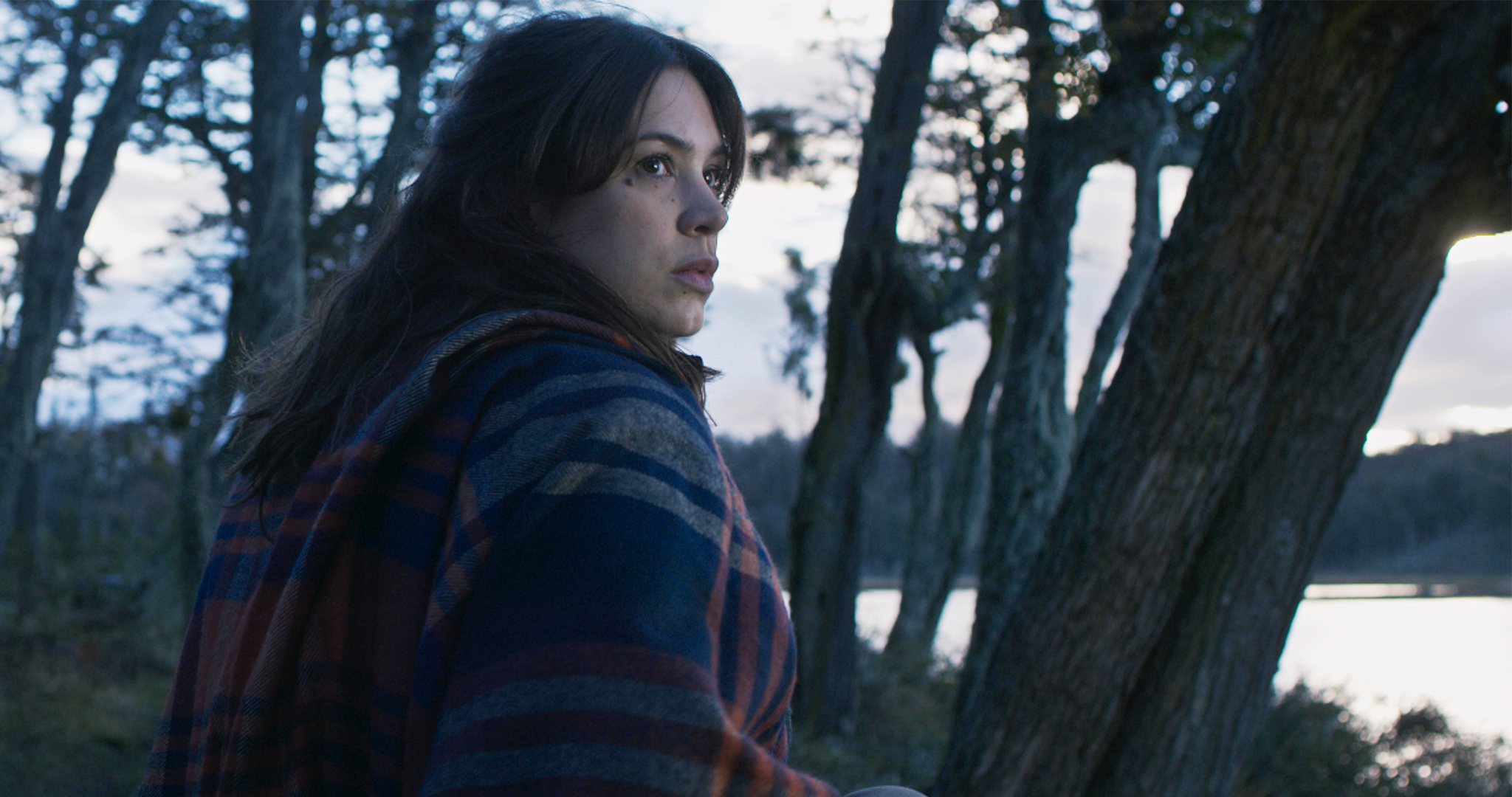 El lado salvaje de Juan Dickinson