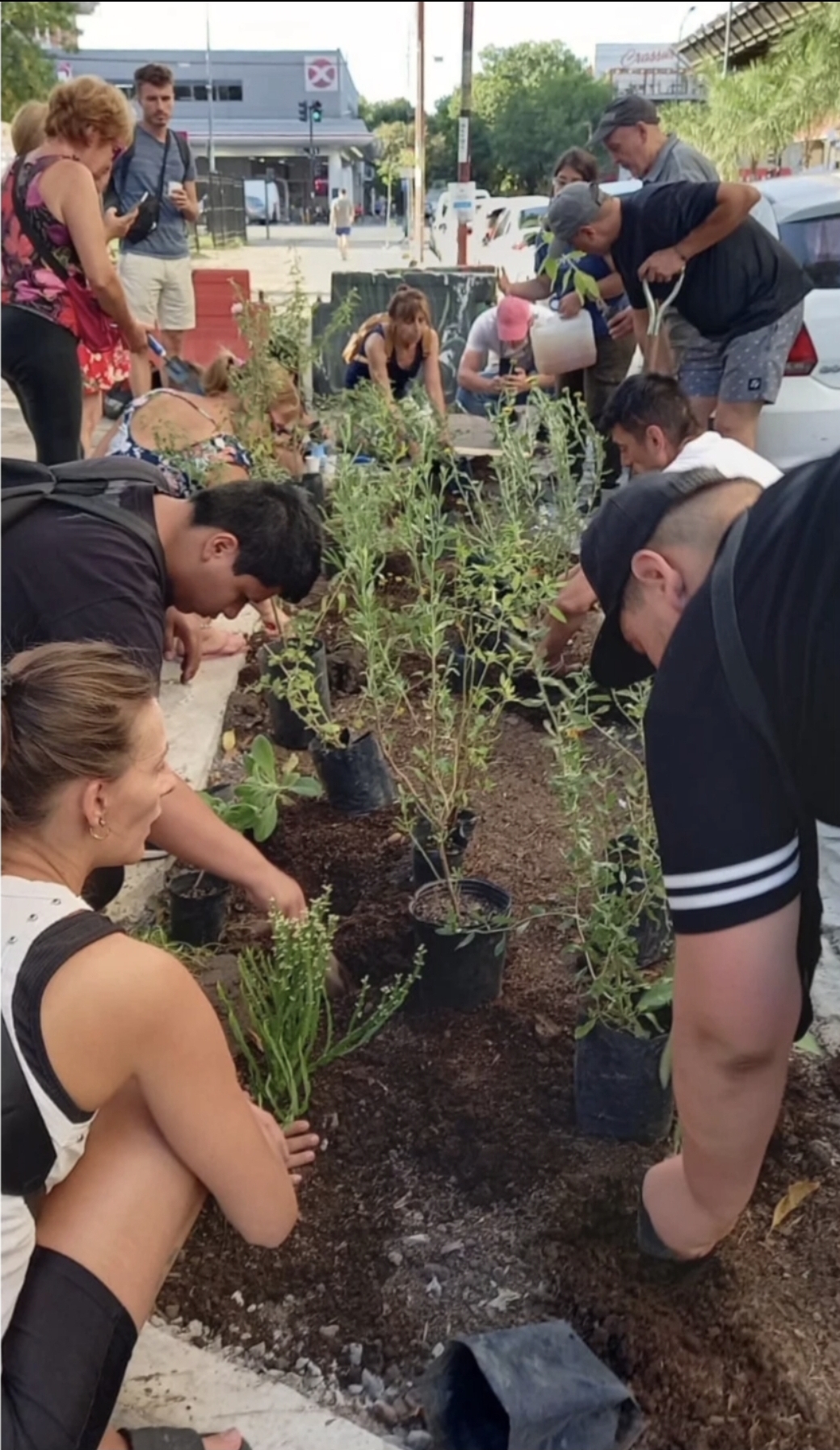 reconstruyendo lazos 01