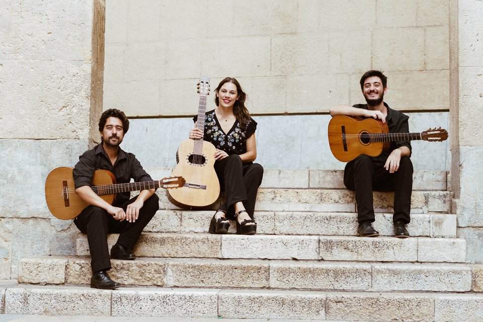 Guitarras Gualeyas_grupo