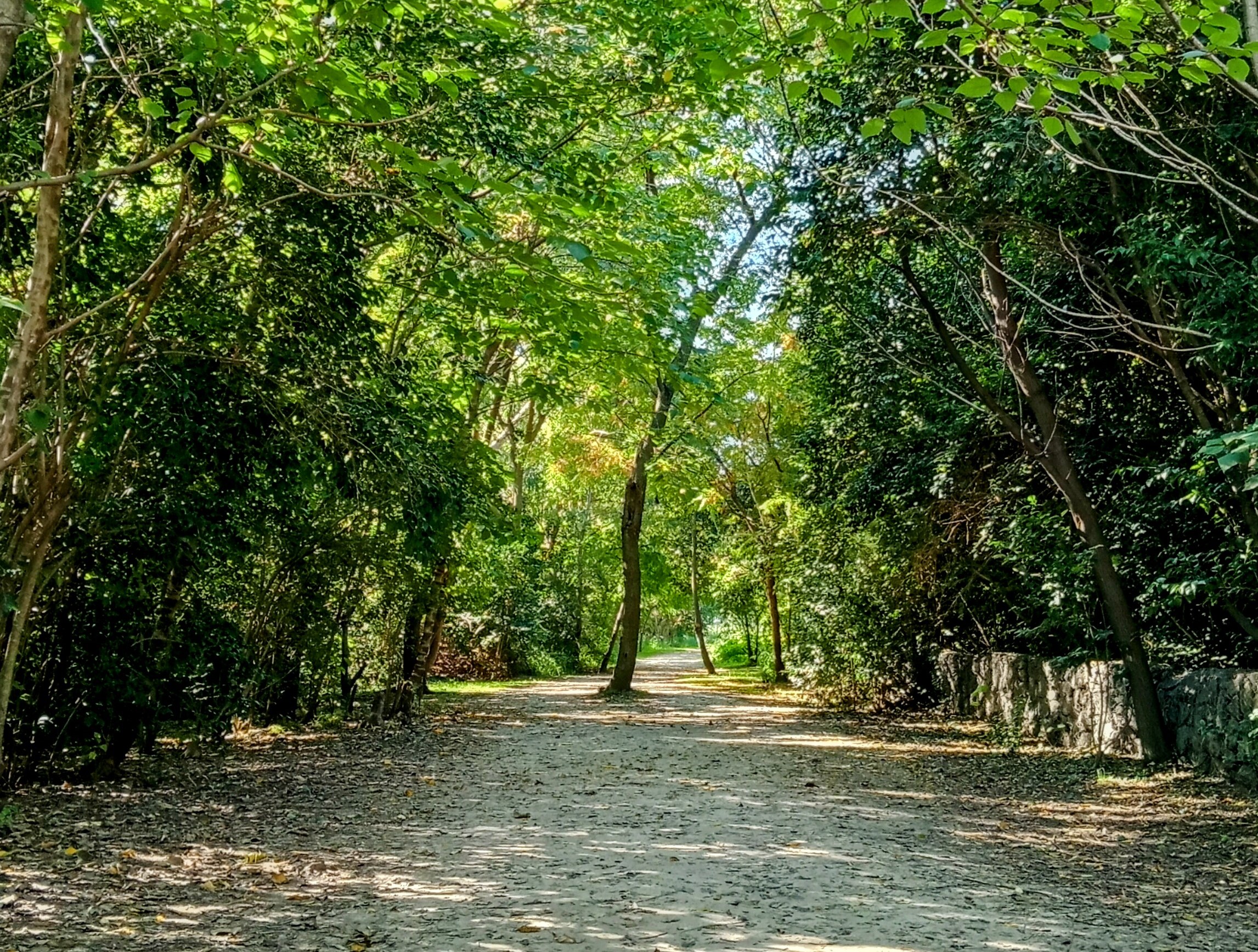 Reserva Ecológica Ciudad Universitaria Costanera Norte.