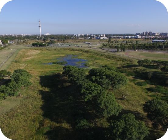 reservorios naturales