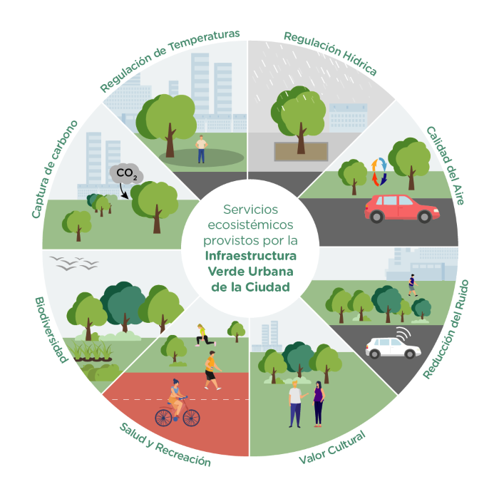 Servicios ecosistémicos IVU
