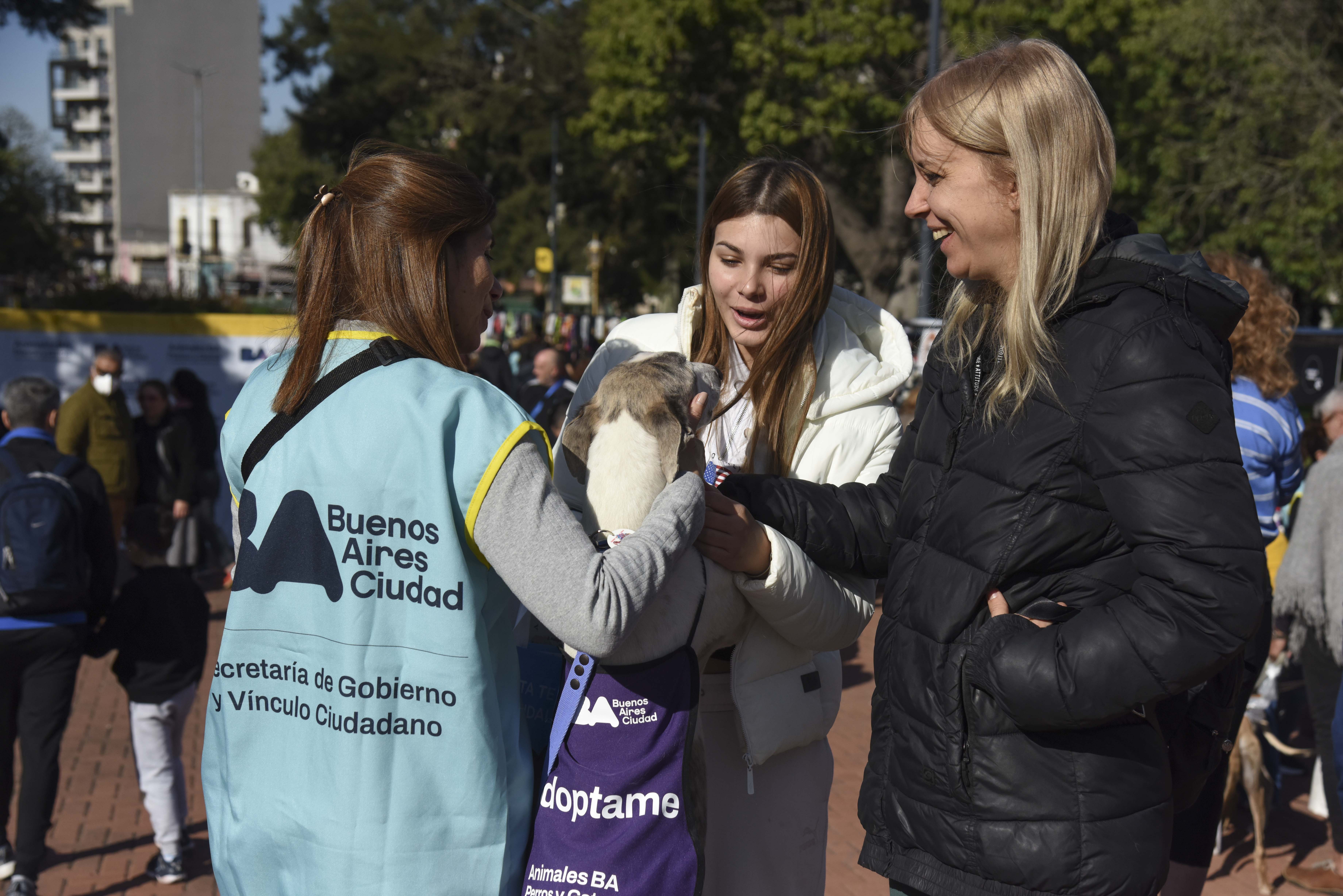 Jornada de Adopción (Foto GCBA)