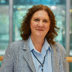 Perfil institucional