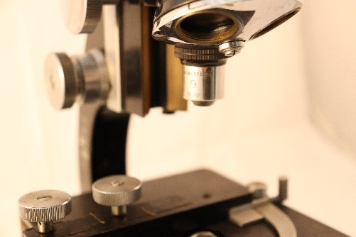 Microscopio Binocular