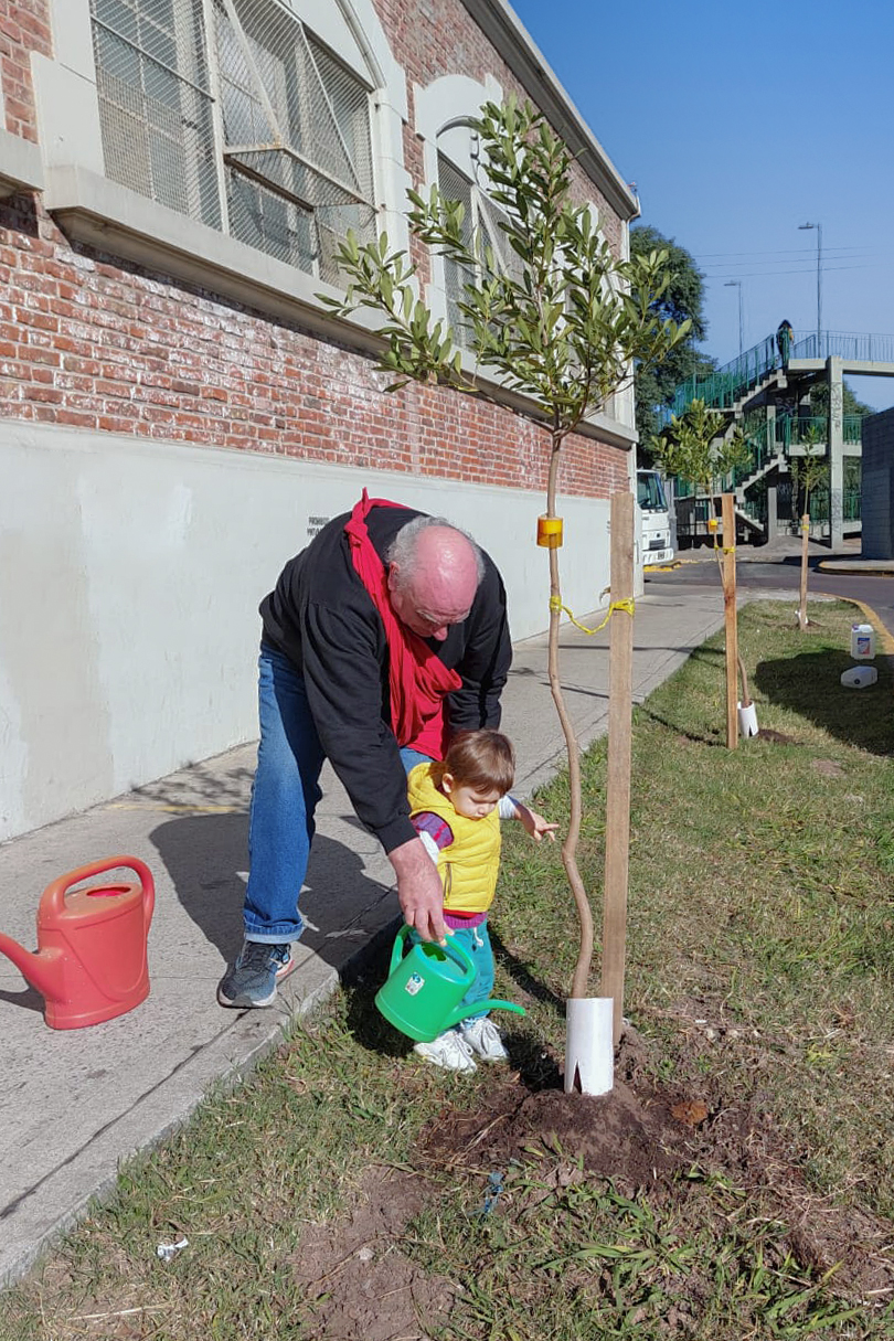 Una persona mayor con un niño regando un Canelón recién plantado