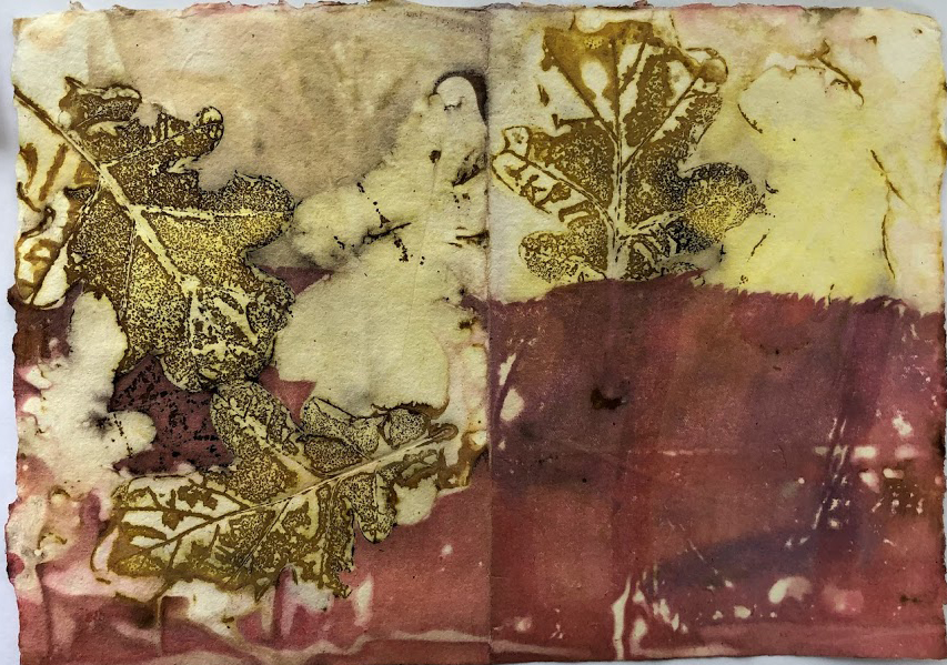 Territorios en tensión. Otras formas de habitar | Adriana Omanha