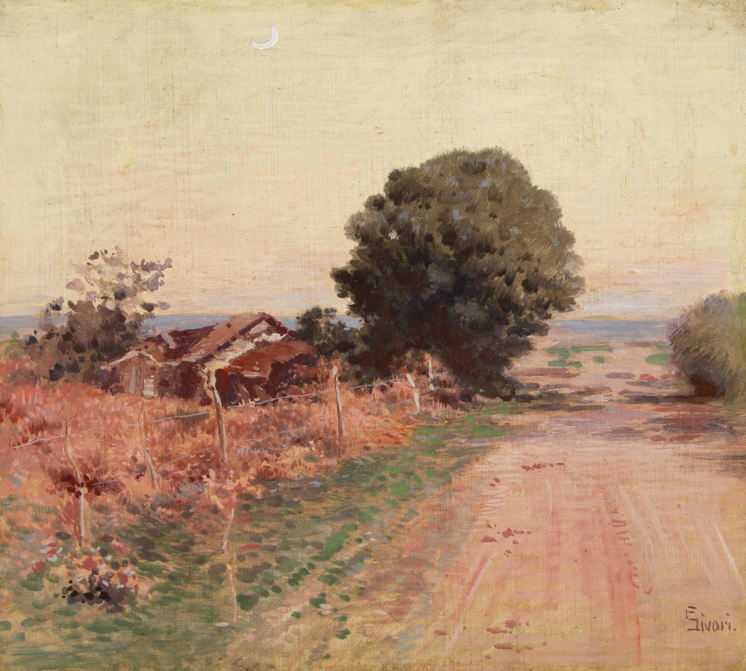 sivori3