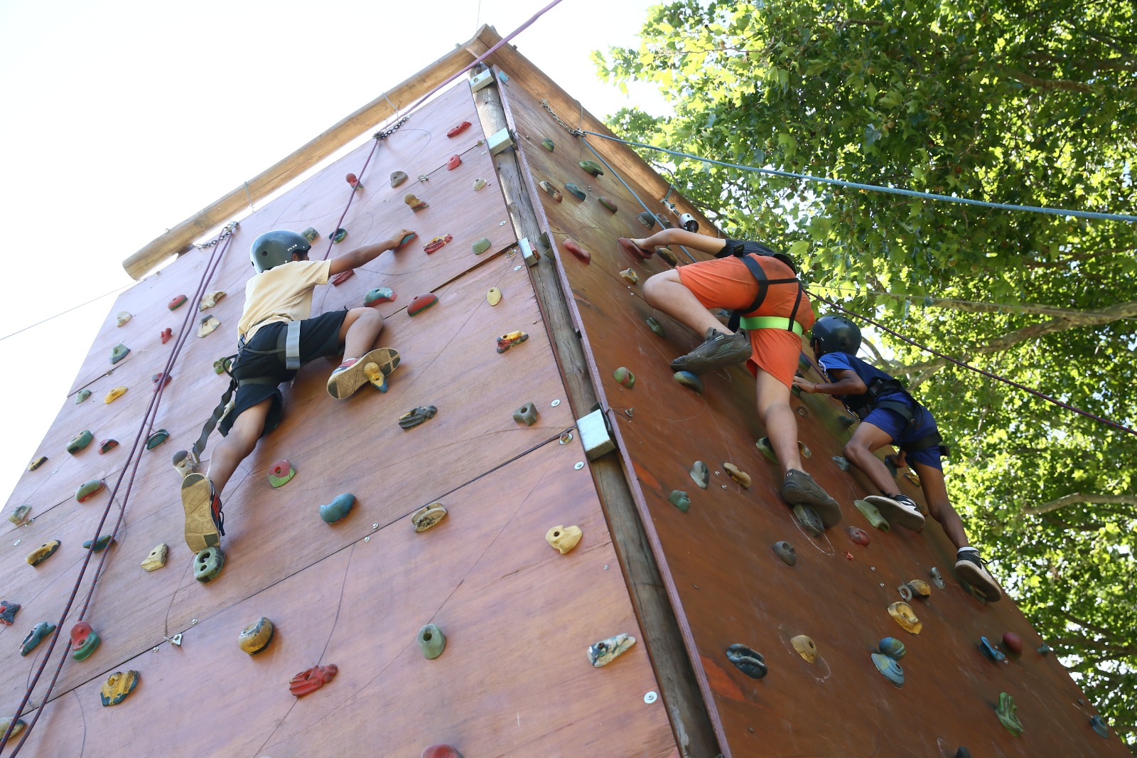 Escuela de Verano 2024