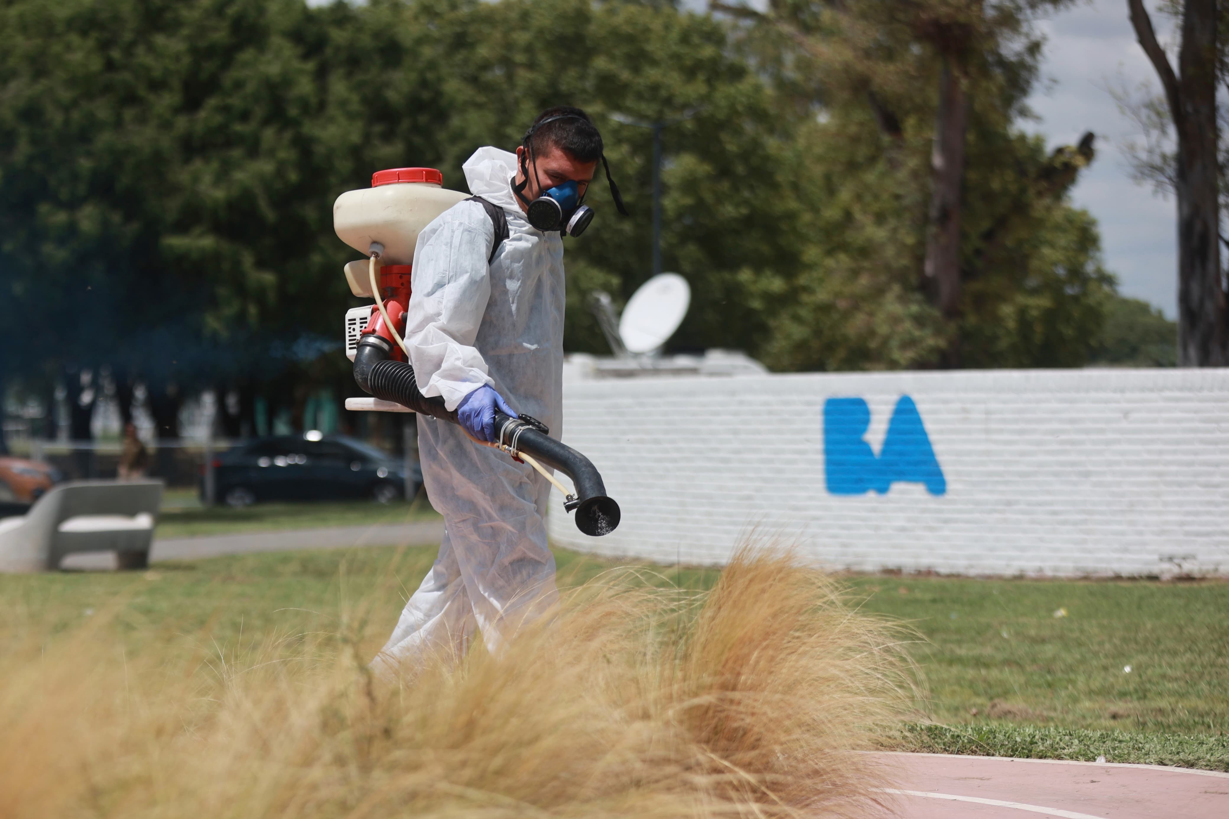 Desinsectación de mosquitos en la Ciudad.
