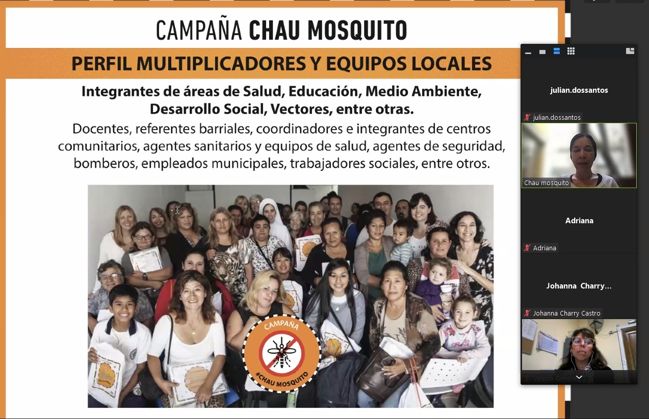 Mosquito dengue