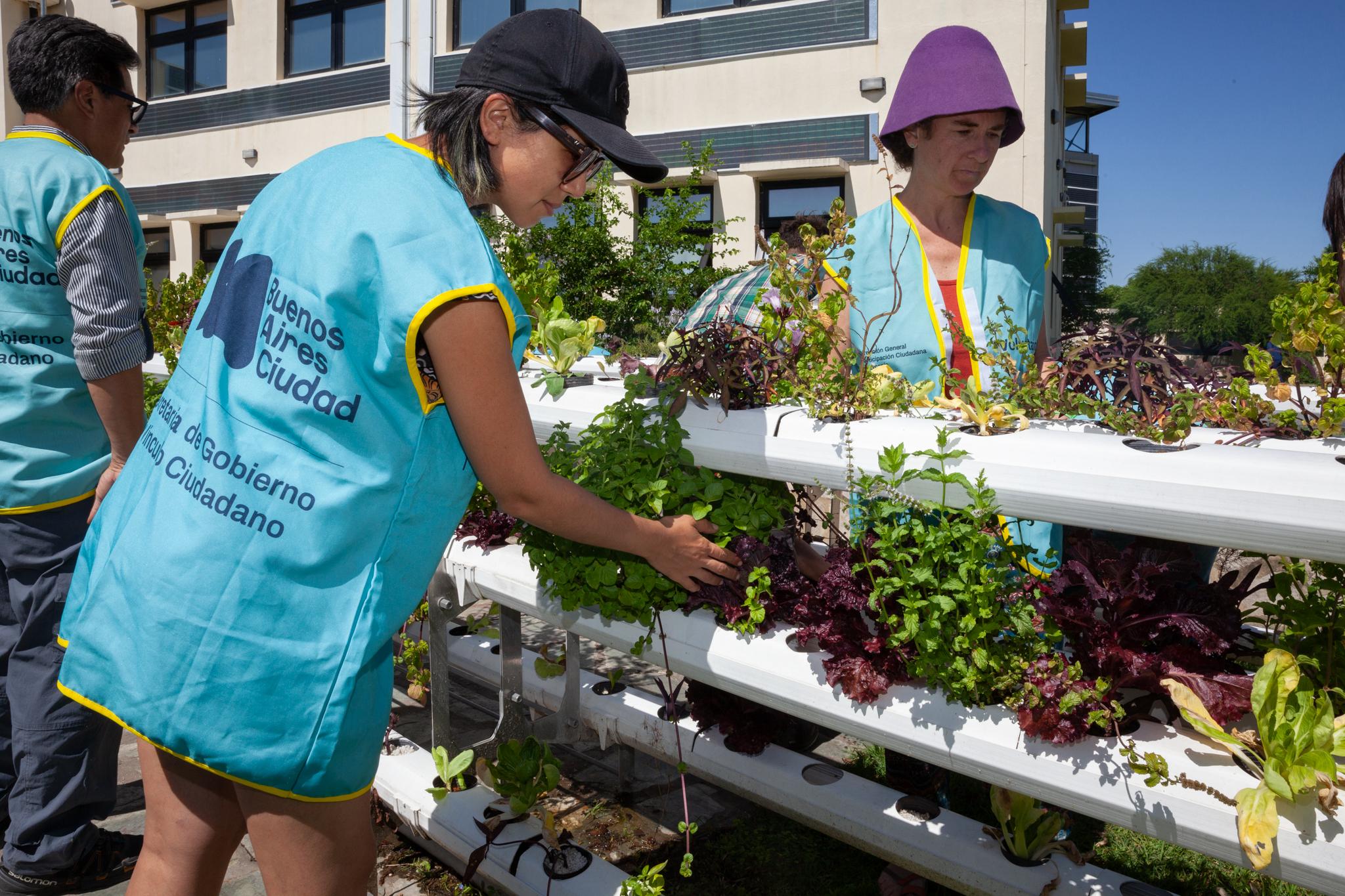 Voluntarios en la huerta hidropónica