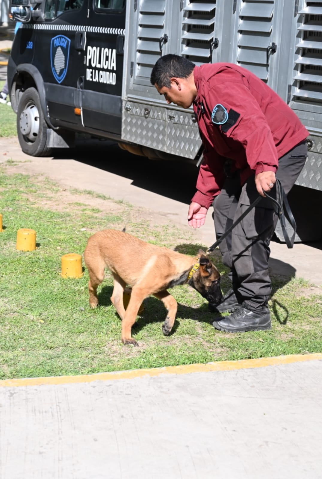 Capacitación Canes 4